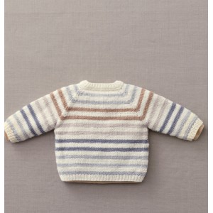 FICHE PDF Brassi&egrave;re FLAVIAN