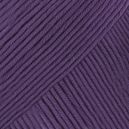 Muskat Violet 14