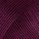 Muskat Violet fonc&eacute; 38