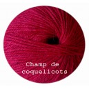 Champ de coquelicots