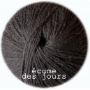 Ecume des jours