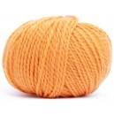 EVASION ABEILLE 0863