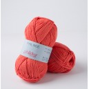 PHILDAR PHIL NOE 0001 PASTEQUE